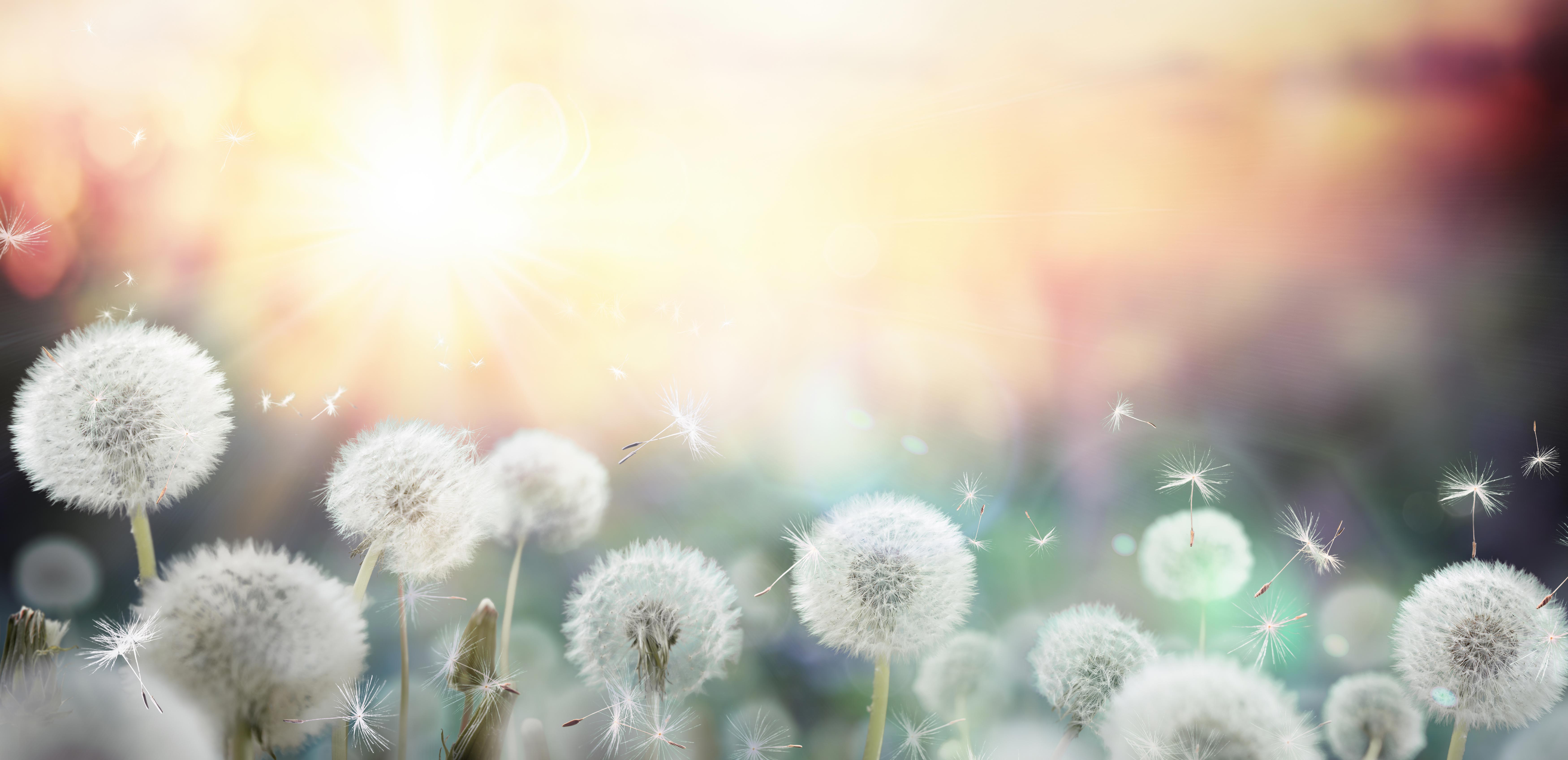 Allergies and Sensitivities in Indianapolis